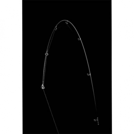 branzino-ags-5.jpg